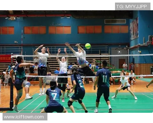 排球盛宴：深入杭州排球队的训练与比赛节奏探秘